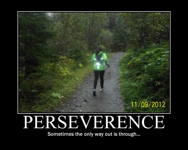 perseverence
